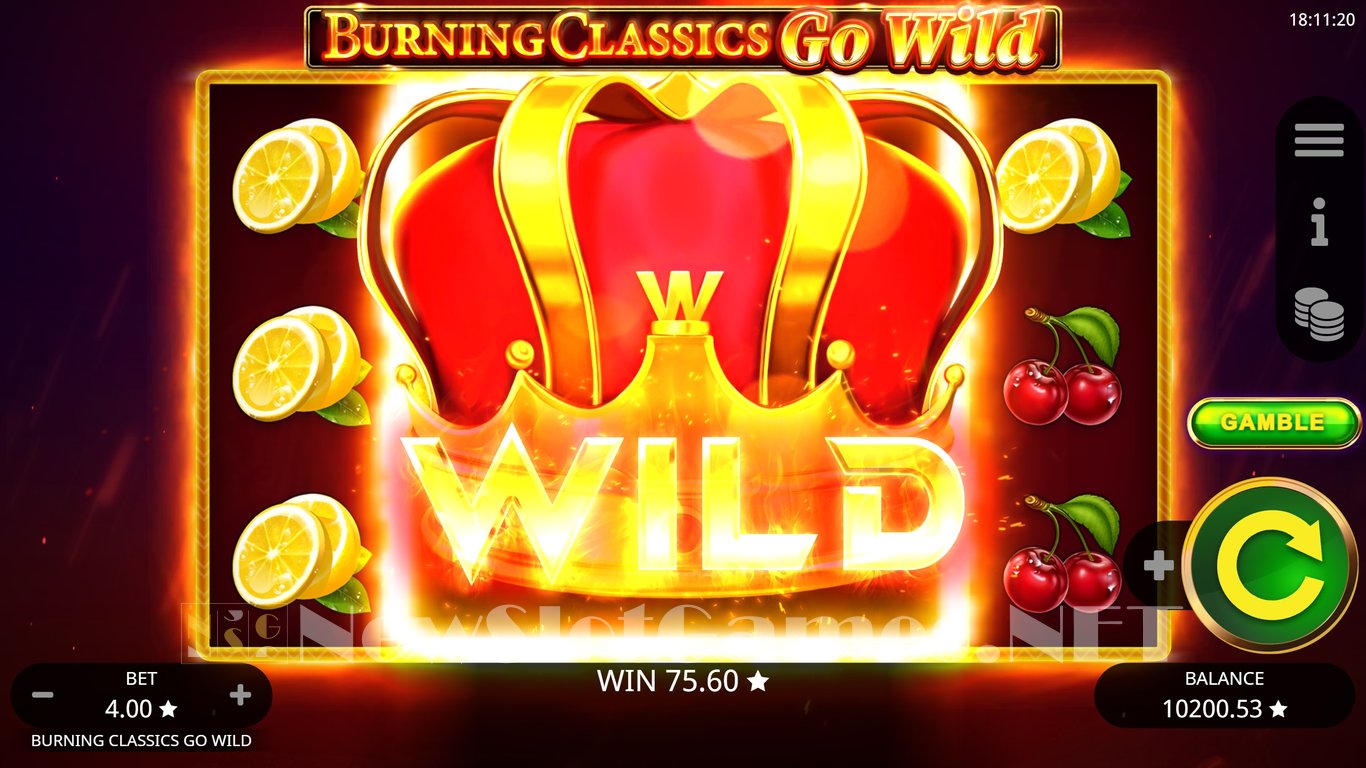 Burning Classics Go Wild Slot Slot Image in Demo - pic. 16