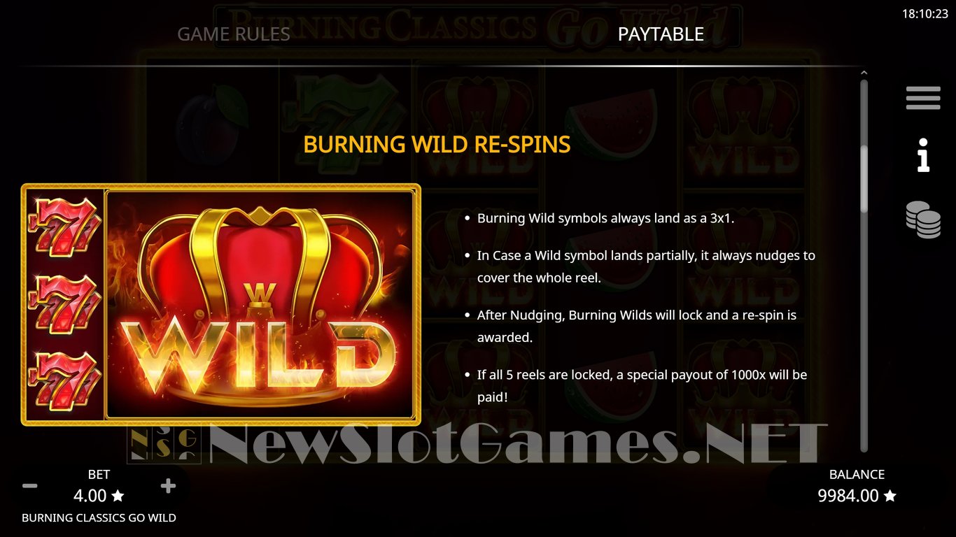 Burning Classics Go Wild Slot Slot Image in Demo - pic. 5