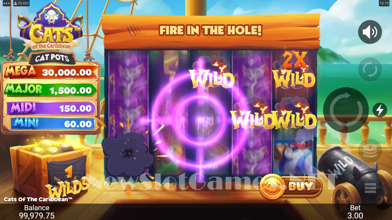 Cats of the Caribbean Slot Slot Image in Demo - pic. 13