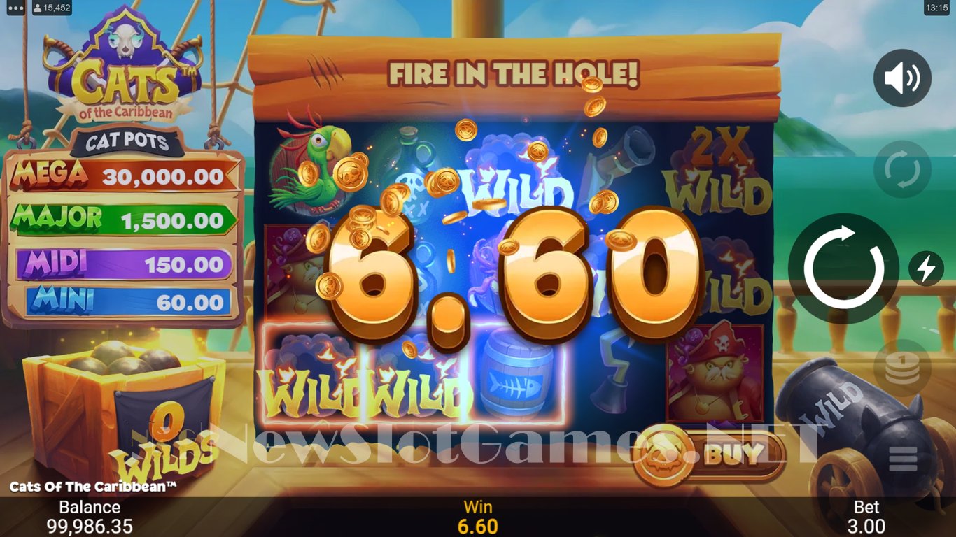 Cats of the Caribbean Slot Slot Image in Demo - pic. 14