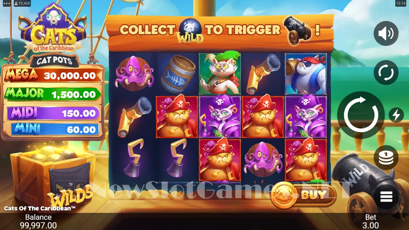 Cats of the Caribbean Slot Slot Image in Demo - pic. 2