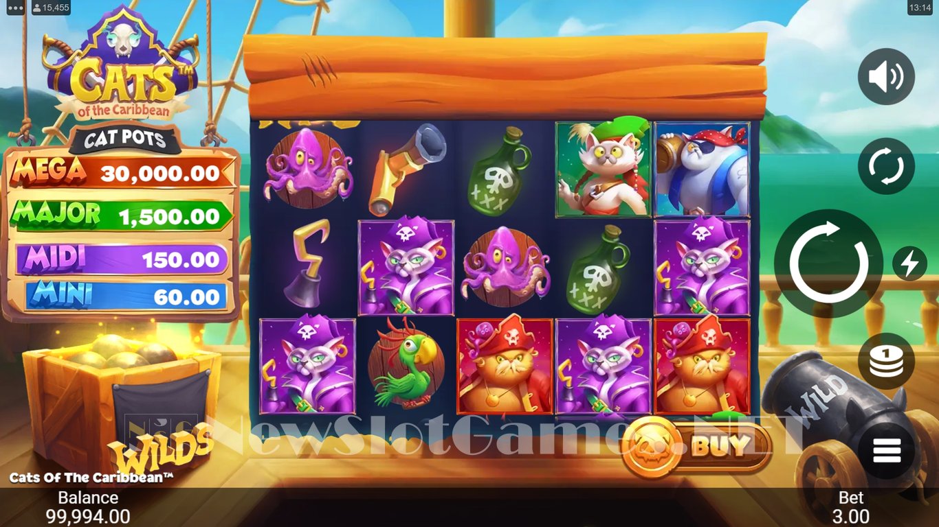 Cats of the Caribbean Slot Slot Image in Demo - pic. 3