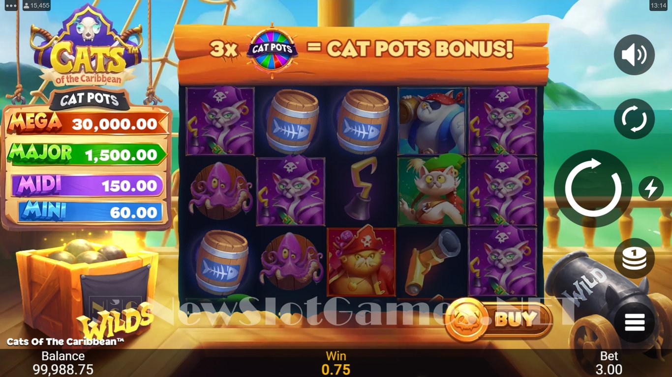 Cats of the Caribbean Slot Slot Image in Demo - pic. 4