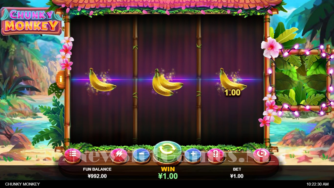 Chunky Monkey Slot Slot Image in Demo - pic. 3
