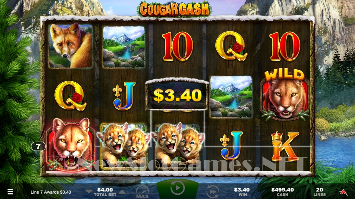 Cougar Cash Slot Slot Image in Demo - pic. 7
