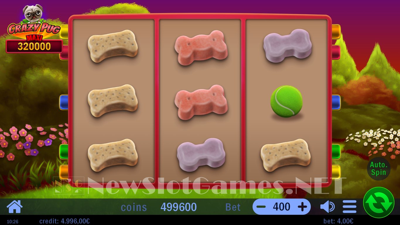 Crazy Pug Slot Slot Image in Demo - pic. 2