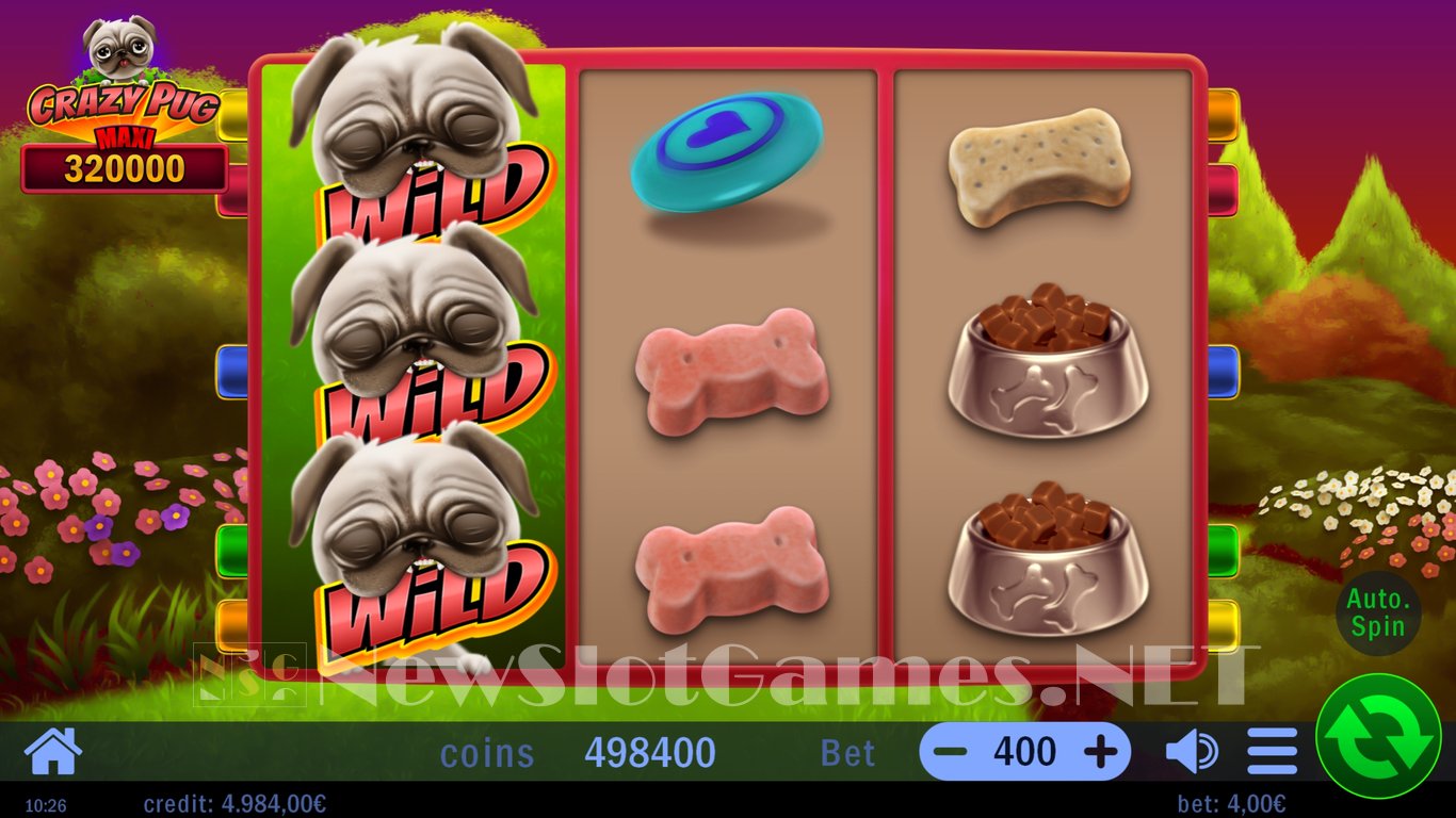 Crazy Pug Slot Slot Image in Demo - pic. 3