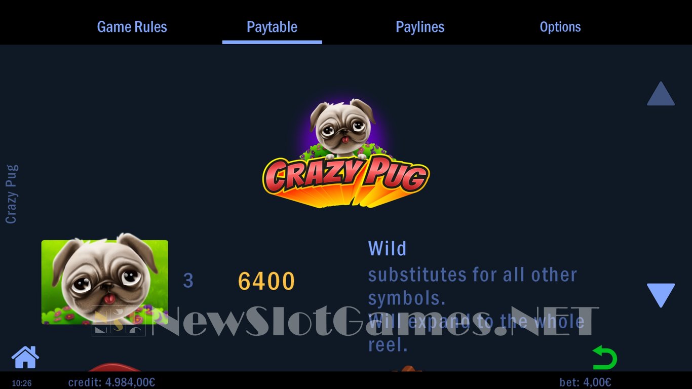 Crazy Pug Slot Slot Image in Demo - pic. 4
