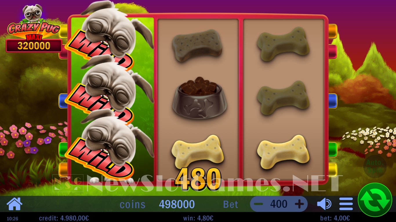 Crazy Pug Slot Slot Image in Demo - pic. 6