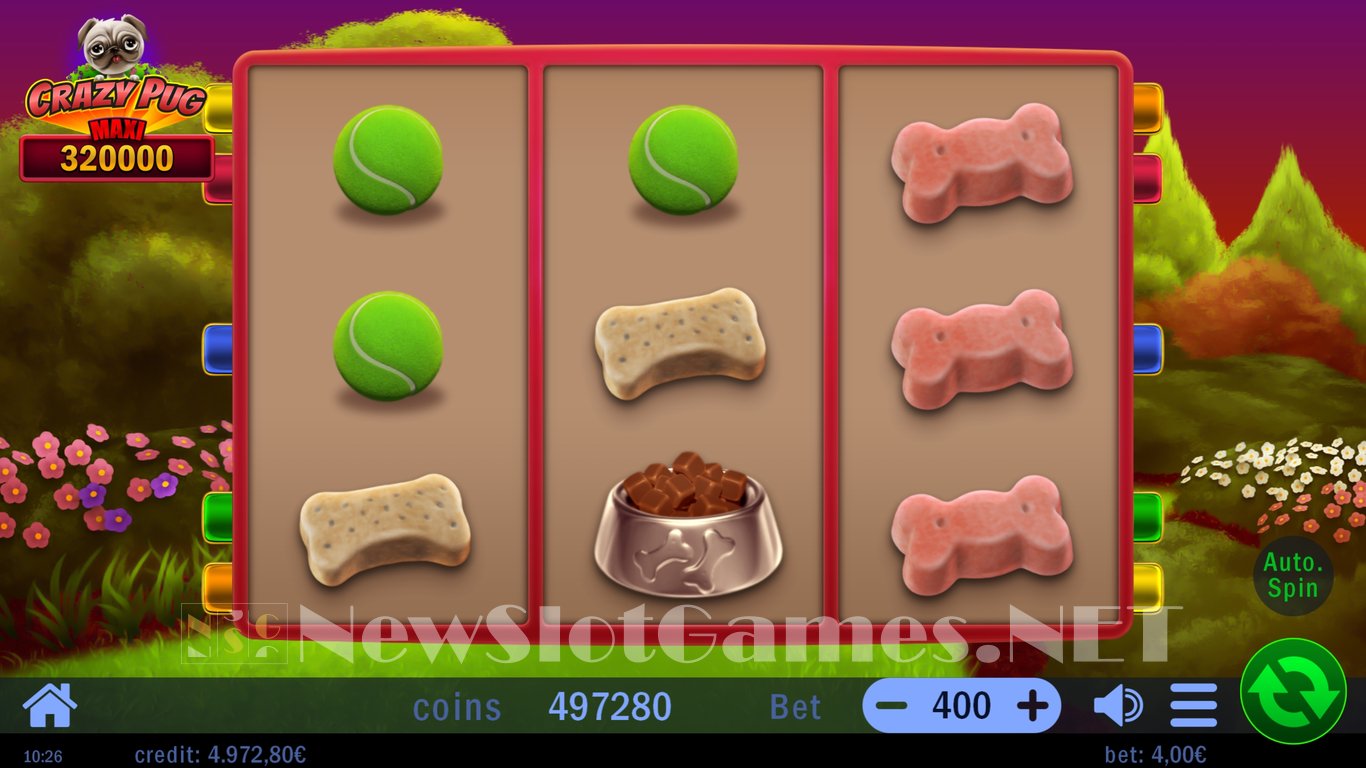 Crazy Pug Slot Slot Image in Demo - pic. 7
