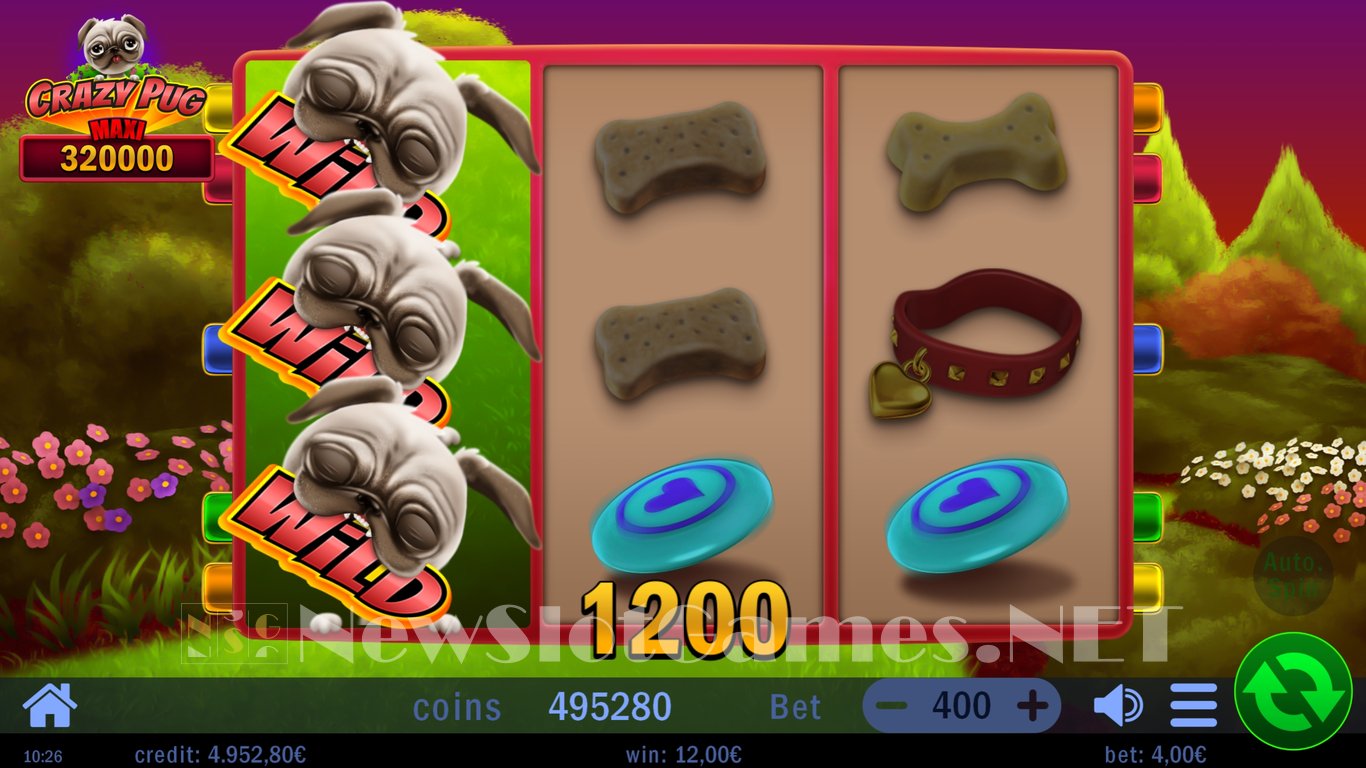 Crazy Pug Slot Slot Image in Demo - pic. 8