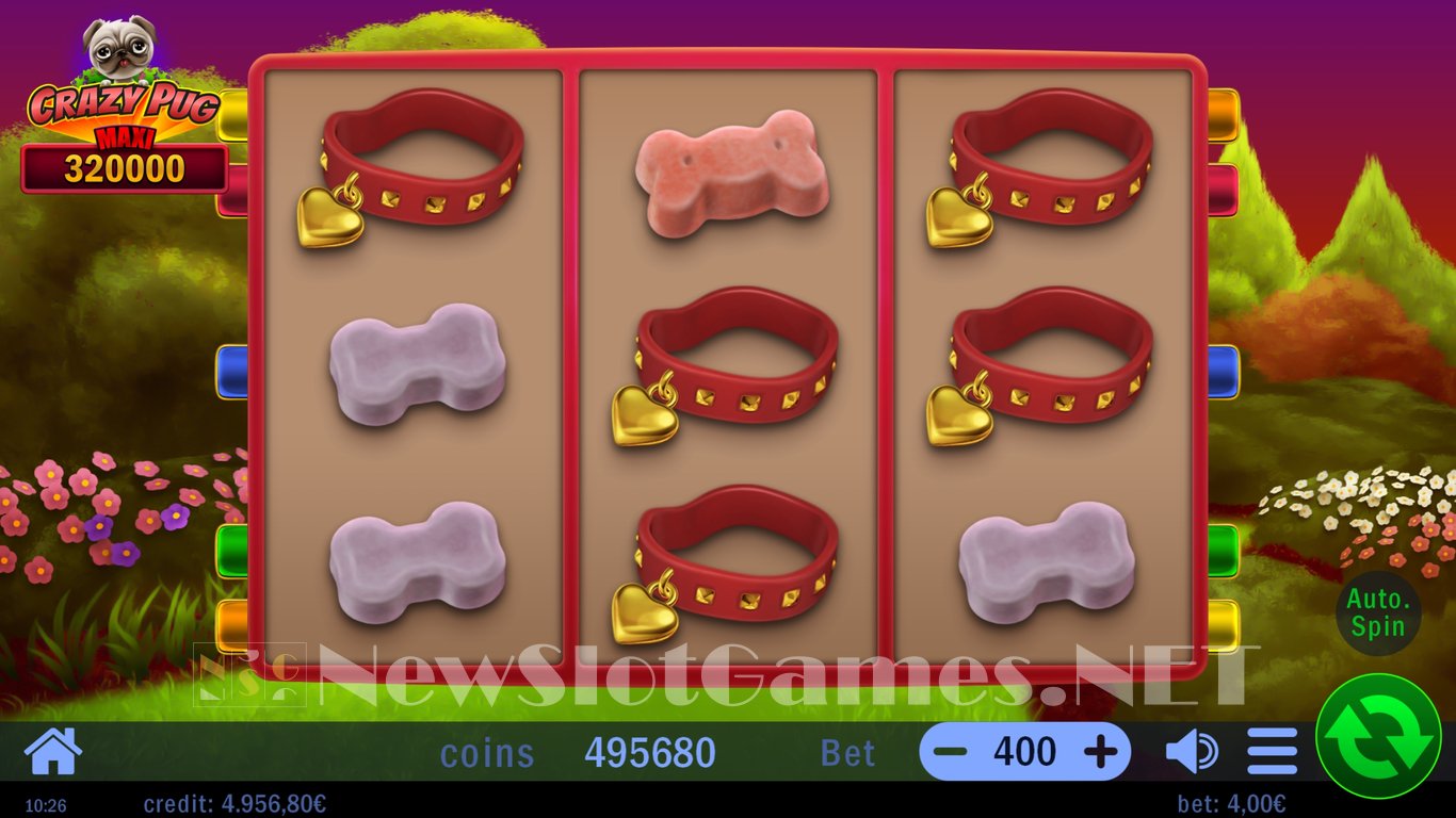 Crazy Pug Slot Slot Image in Demo - pic. 9