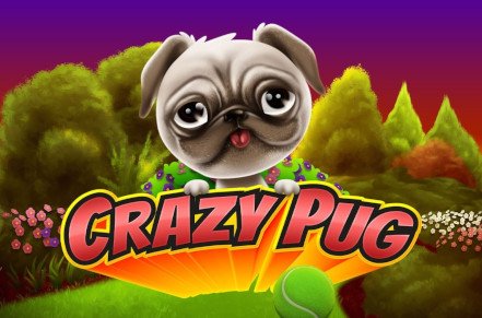 Crazy Pug Slot Logo
