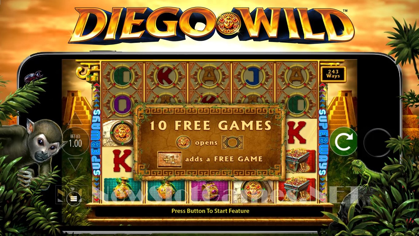 Diego Wild Slot Slot Image in Demo - pic. 10
