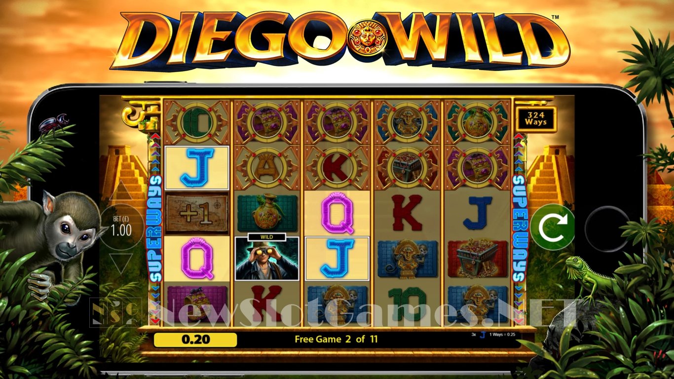 Diego Wild Slot Slot Image in Demo - pic. 11