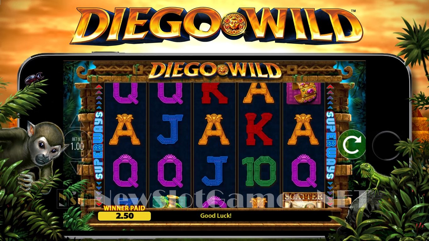 Diego Wild Slot Slot Image in Demo - pic. 5