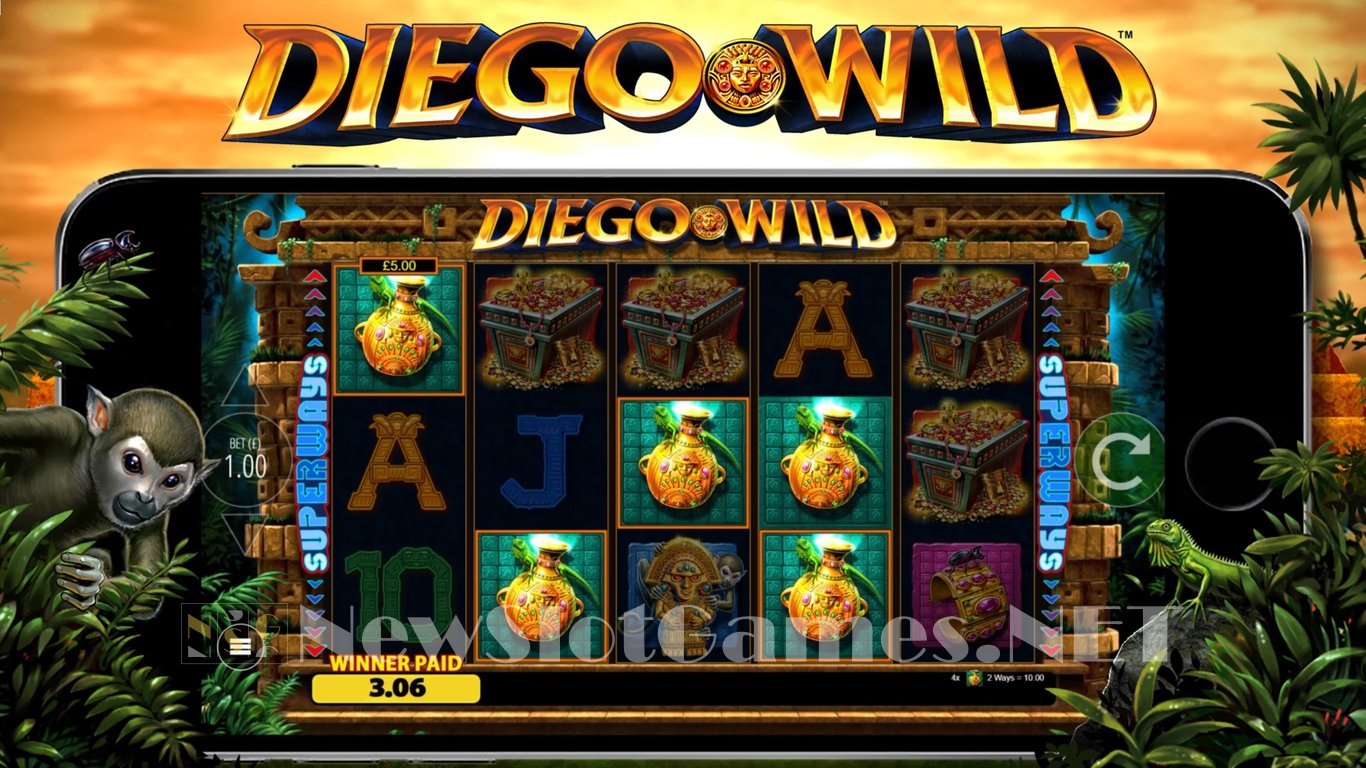 Diego Wild Slot Slot Image in Demo - pic. 6