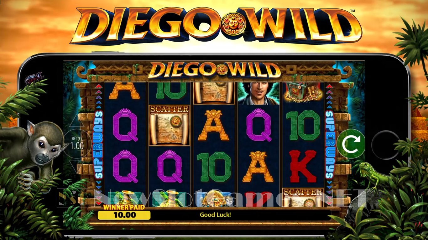 Diego Wild Slot Slot Image in Demo - pic. 7