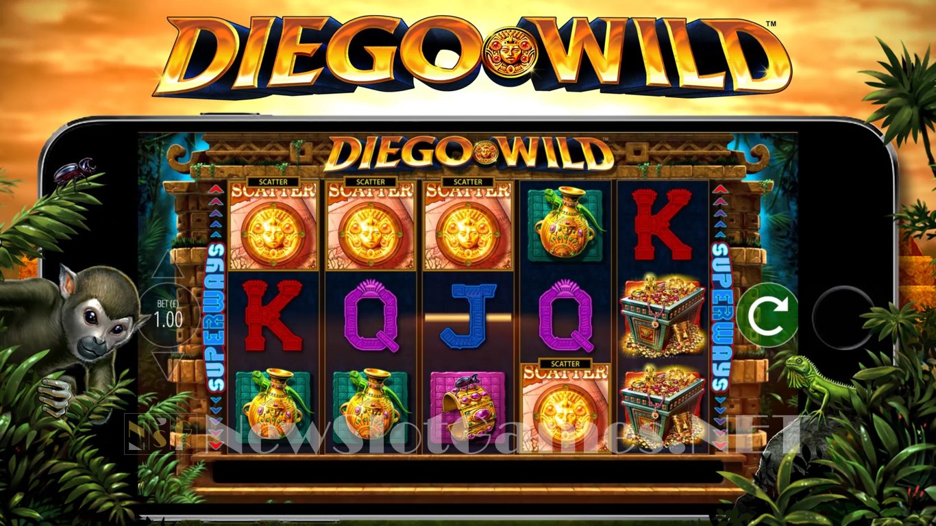 Diego Wild Slot Slot Image in Demo - pic. 8