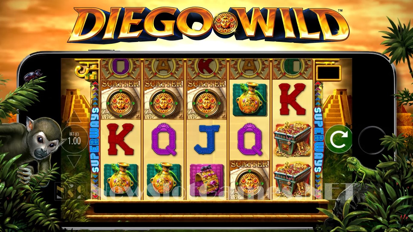 Diego Wild Slot Slot Image in Demo - pic. 9