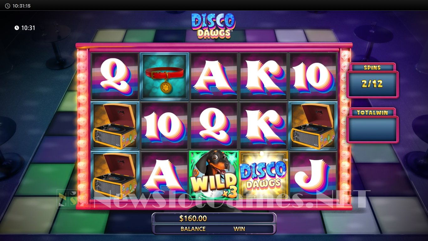 Disco Dawgs Slot Slot Image in Demo - pic. 11