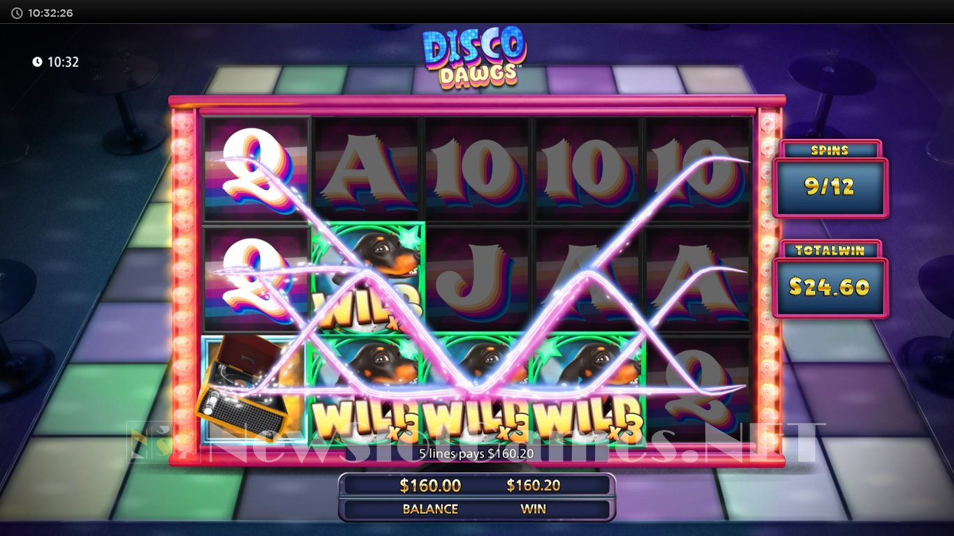 Disco Dawgs Slot Slot Image in Demo - pic. 13