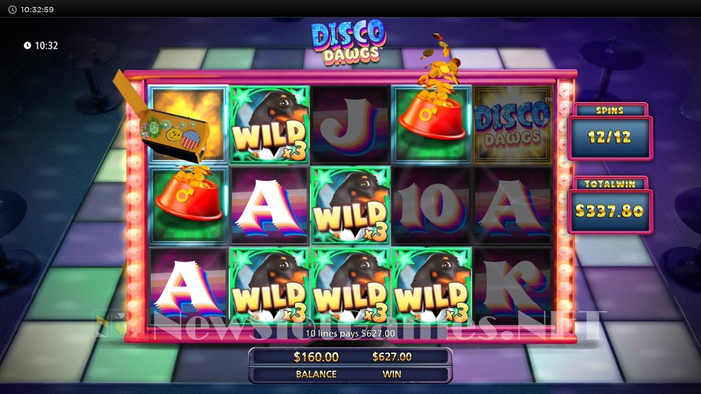 Disco Dawgs Slot Slot Image in Demo - pic. 14