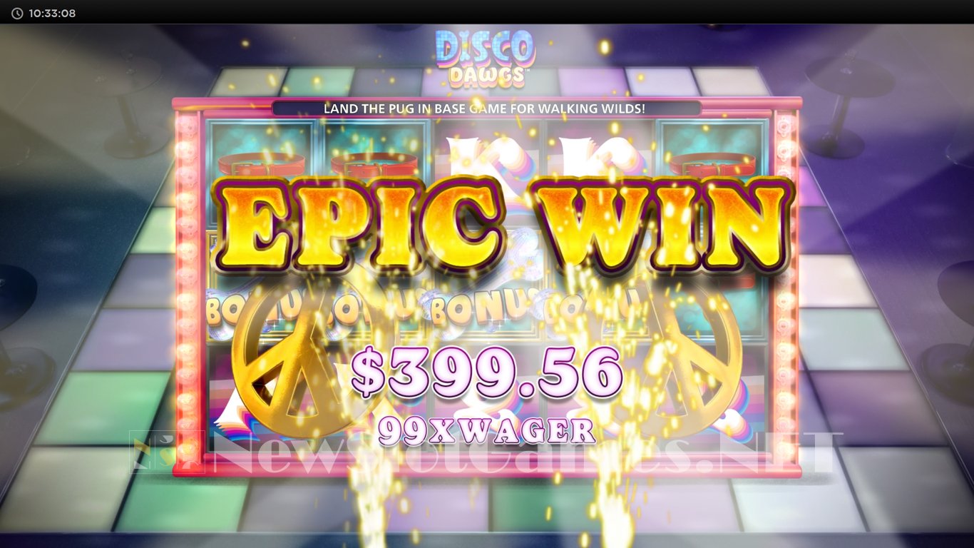 Disco Dawgs Slot Slot Image in Demo - pic. 15