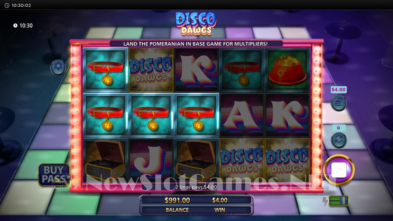 Disco Dawgs Slot Slot Image in Demo - pic. 2