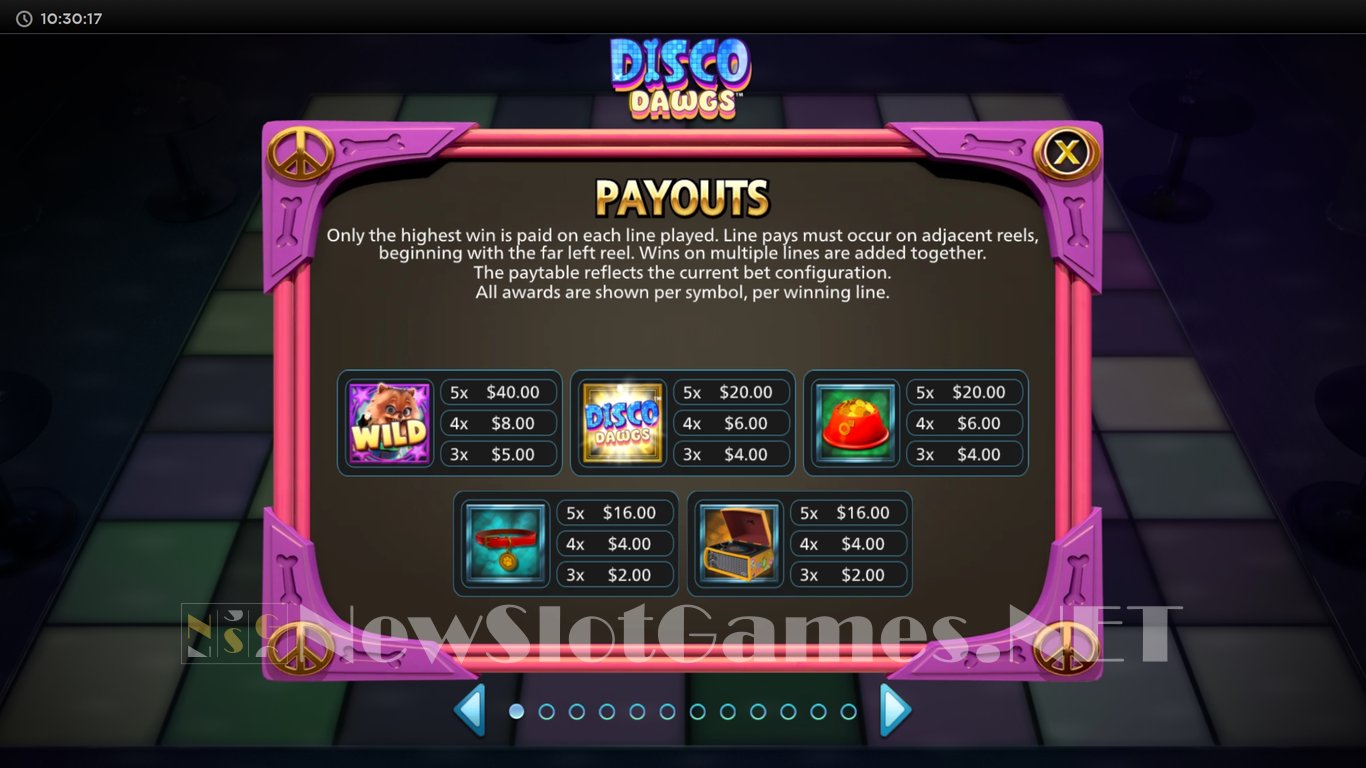 Disco Dawgs Slot Slot Image in Demo - pic. 4