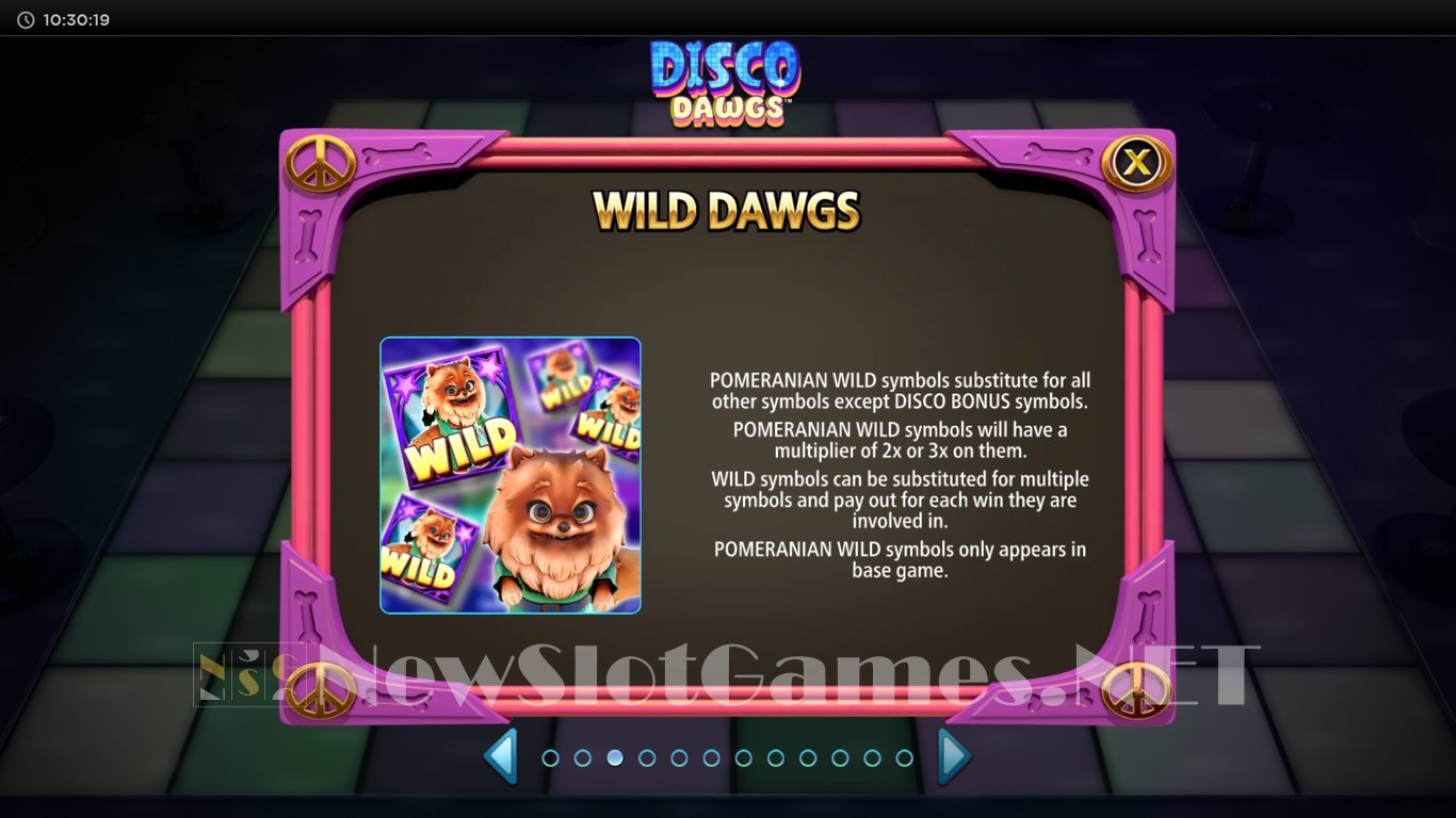 Disco Dawgs Slot Slot Image in Demo - pic. 6