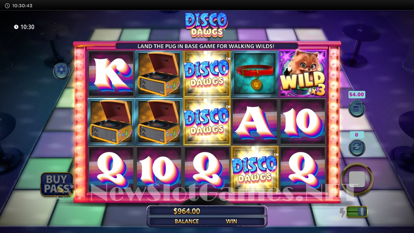 Disco Dawgs Slot Slot Image in Demo - pic. 8