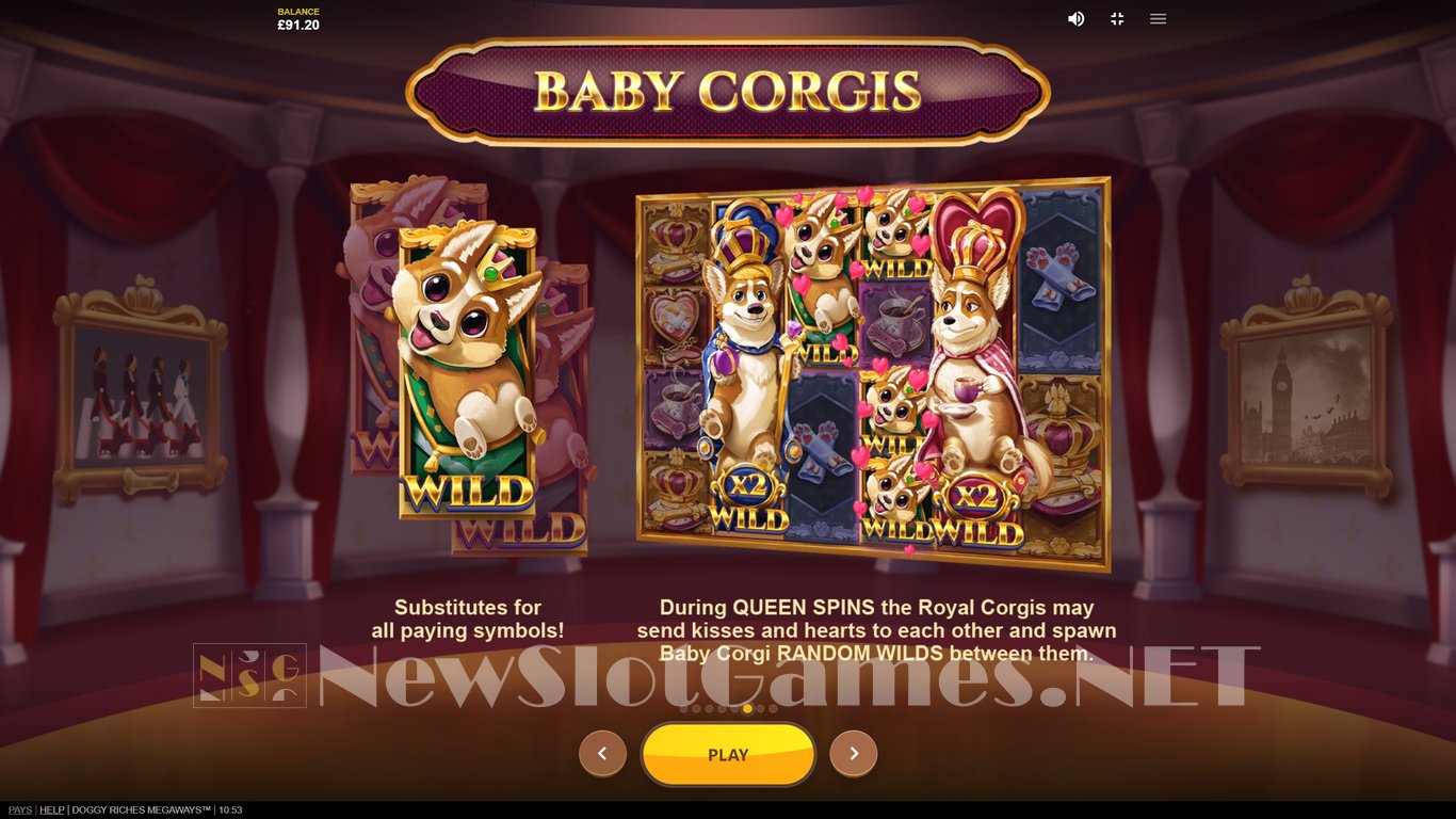 Doggy Riches Megaways Slot Slot Image in Demo - pic. 8