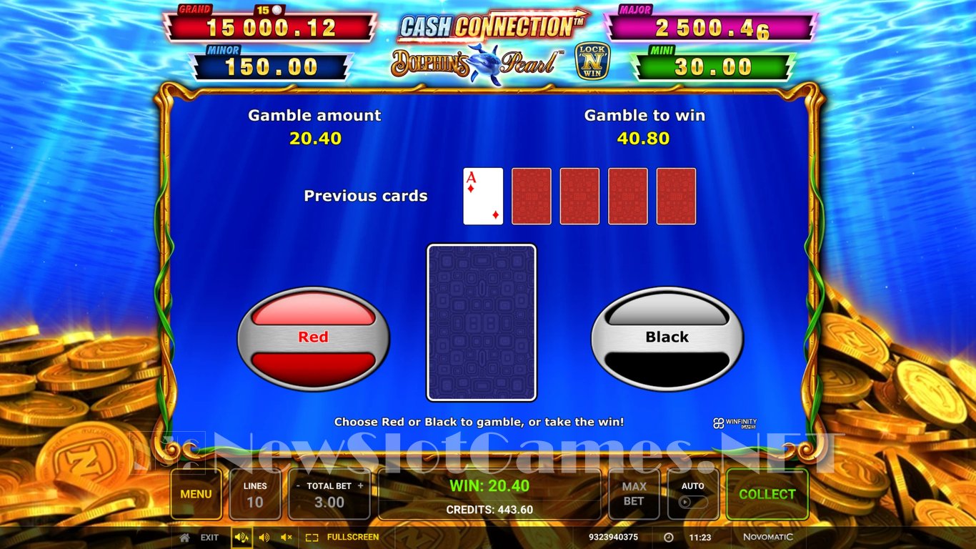 Cash Connection Dolphins Pearl Slot Slot Image in Demo - pic. 11