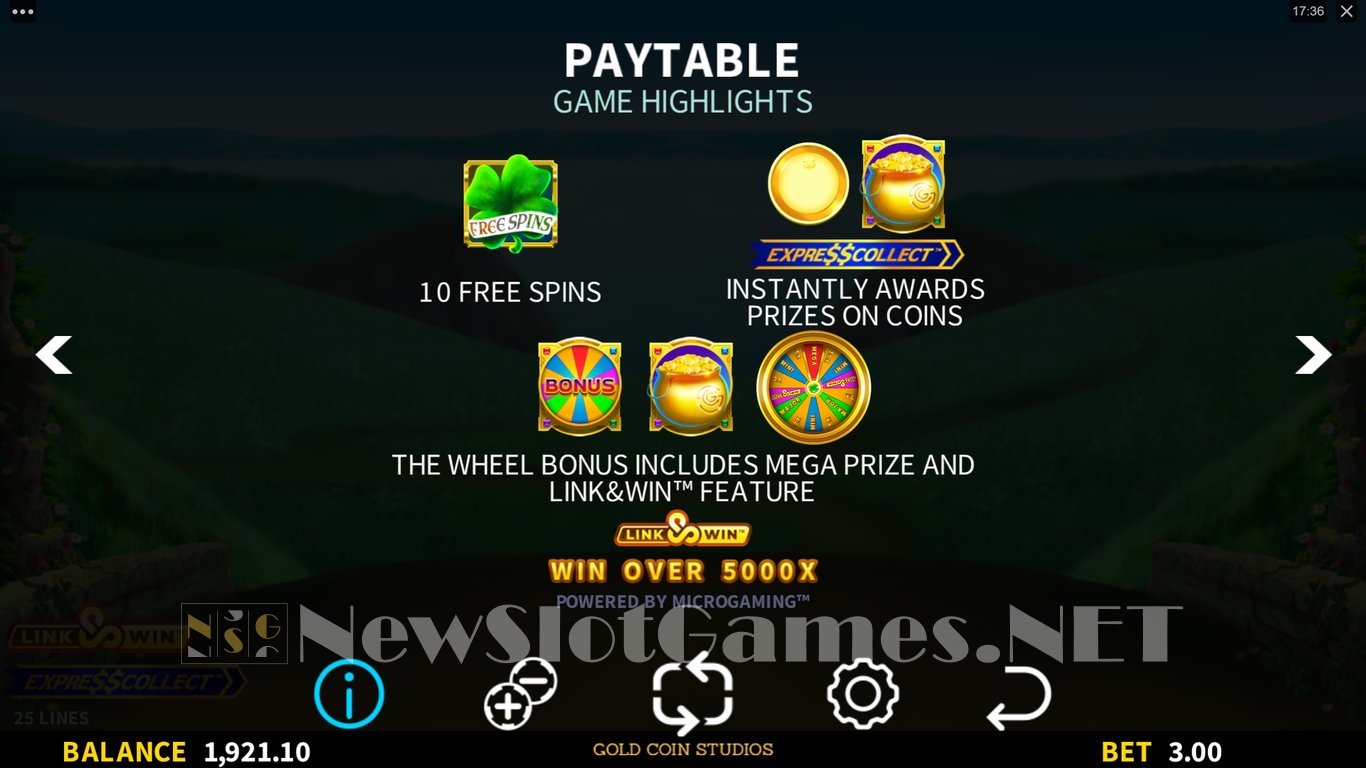 Fionas Fortune Slot Slot Image in Demo - pic. 4