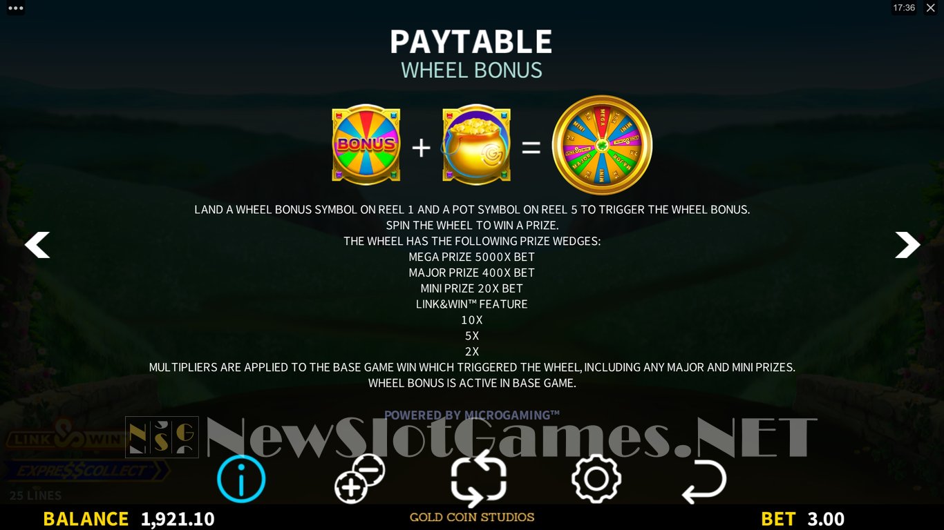 Fionas Fortune Slot Slot Image in Demo - pic. 5
