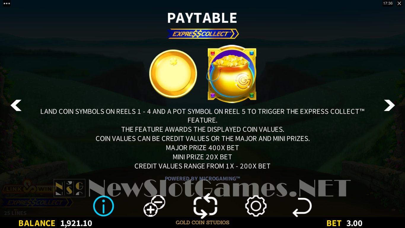 Fionas Fortune Slot Slot Image in Demo - pic. 6