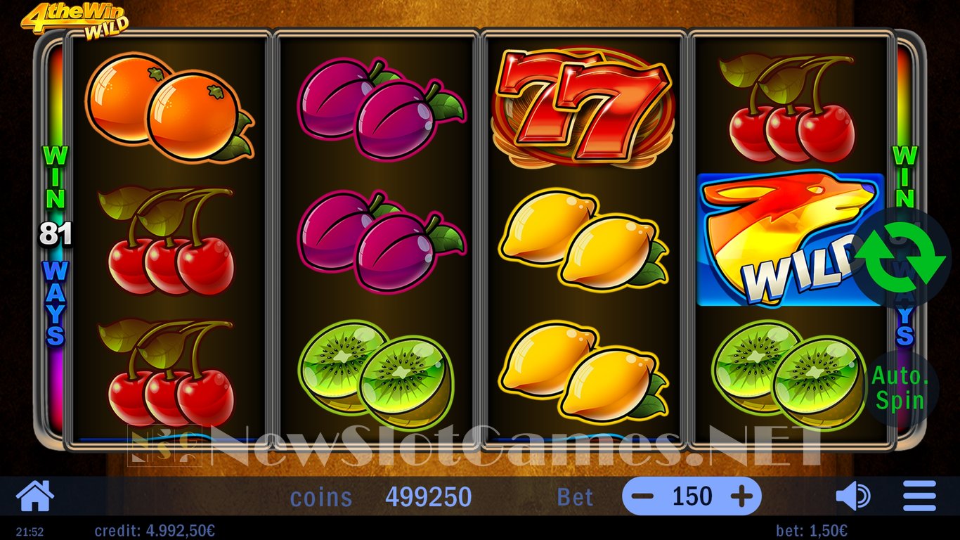 Four the Win Wild Slot Slot Image in Demo - pic. 3