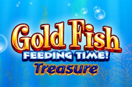 Gold Fish Feeding Time Slot Icon