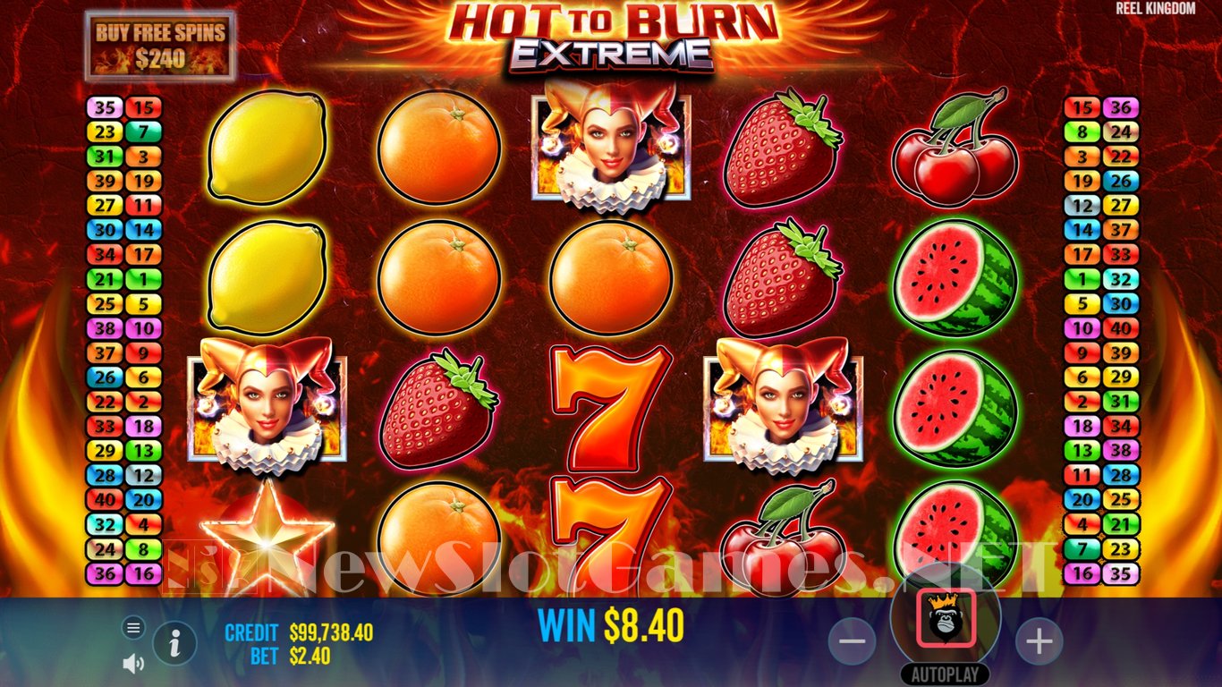 Hot to Burn Extreme Slot Slot Image in Demo - pic. 10