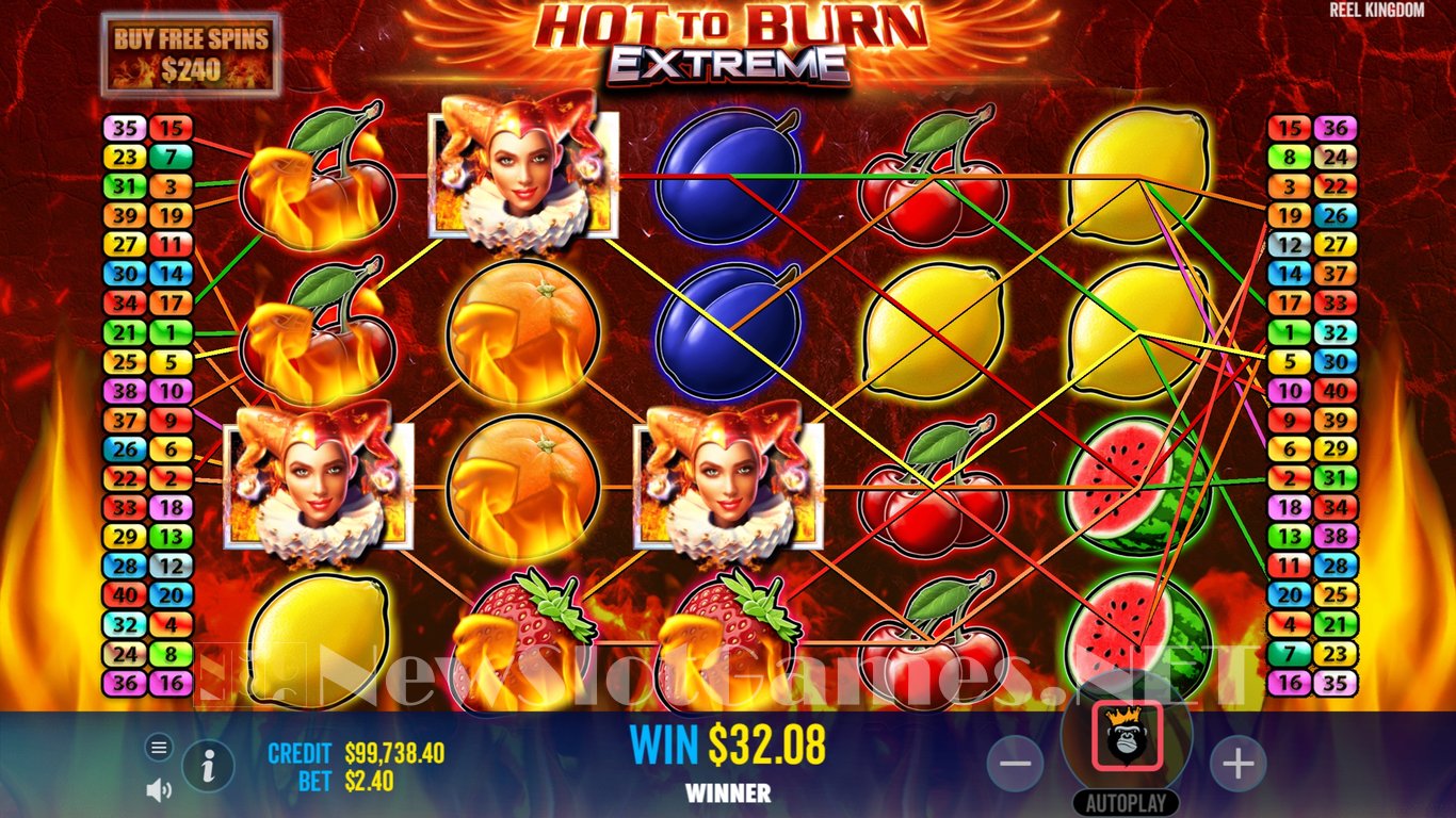 Hot to Burn Extreme Slot Slot Image in Demo - pic. 11