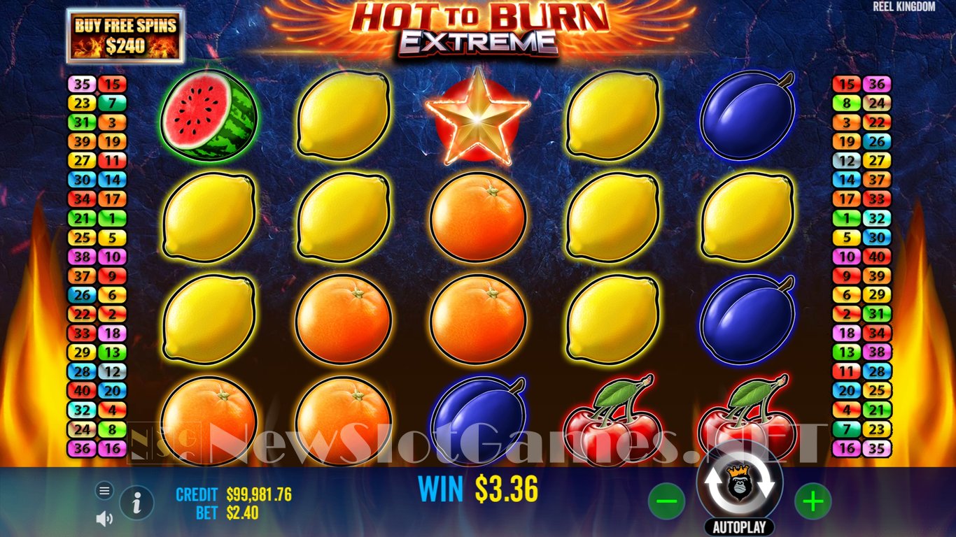Hot to Burn Extreme Slot Slot Image in Demo - pic. 5