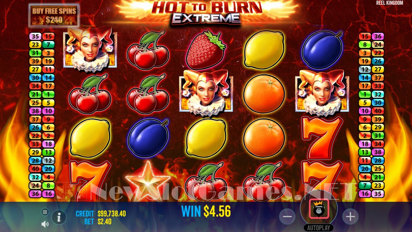 Hot to Burn Extreme Slot Slot Image in Demo - pic. 9