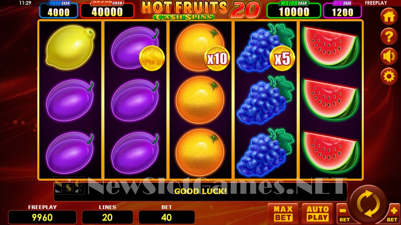 Hot Fruits 20 Cash Spins Slot Slot Image in Demo - pic. 2