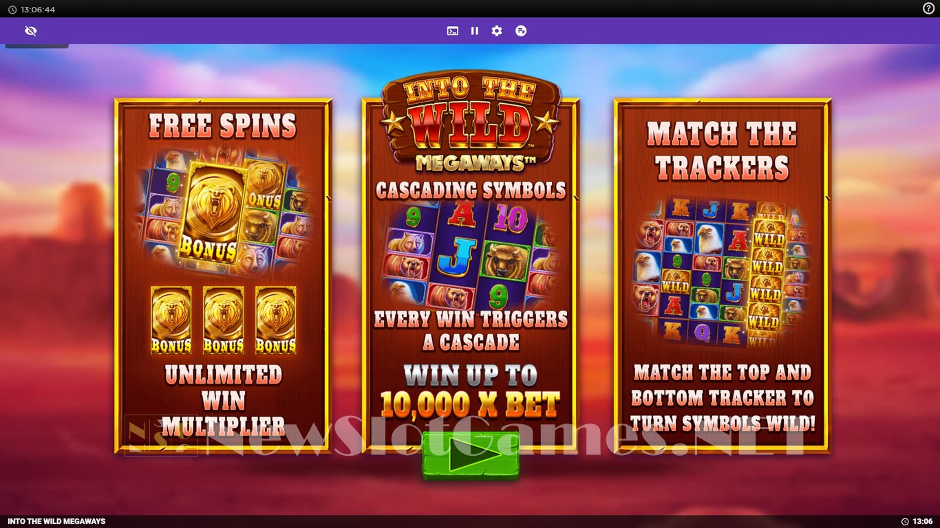 Into The Wild Megaways Slot Demo Image