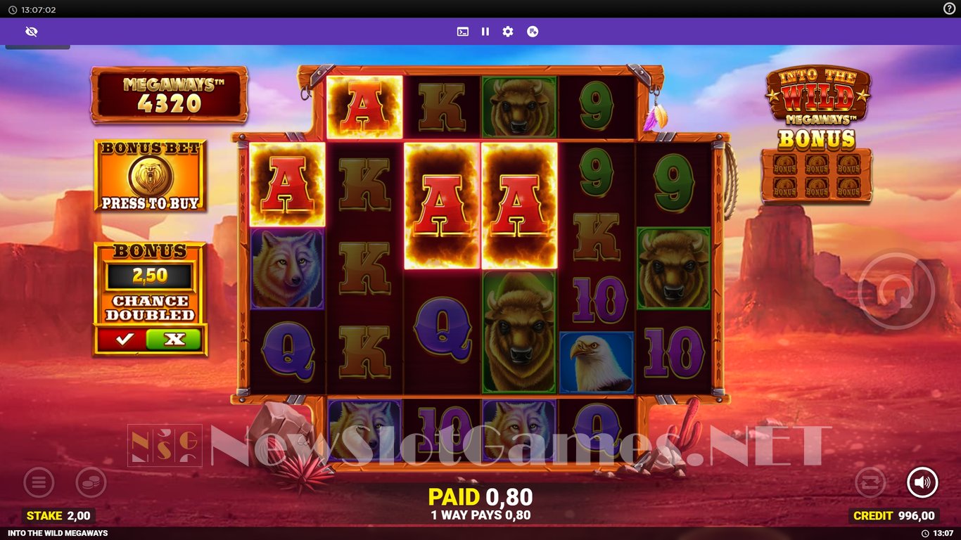 Into The Wild Megaways Slot Slot Image in Demo - pic. 3