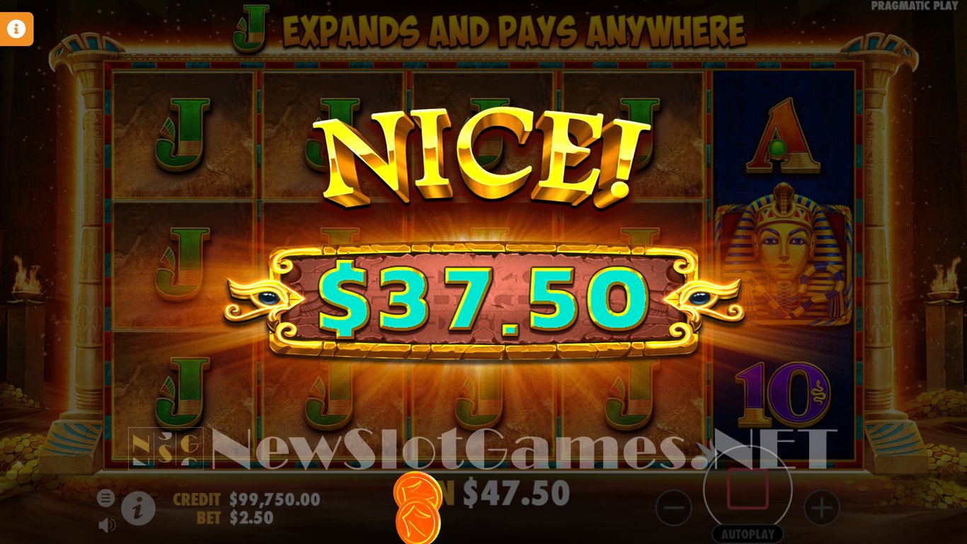 John Hunter and the Book of Tut Respin Slot Slot Image in Demo - pic. 13