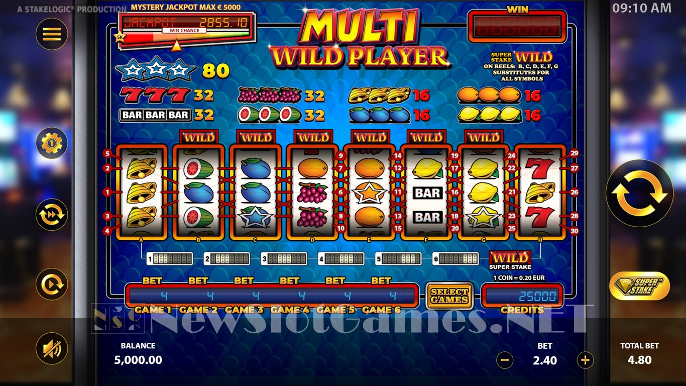 Multi Wild Player Slot Slot Image in Demo - pic. 2