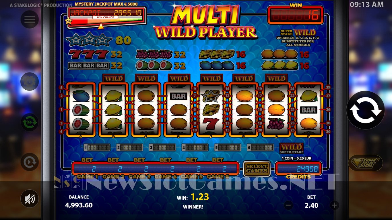 Multi Wild Player Slot Slot Image in Demo - pic. 3