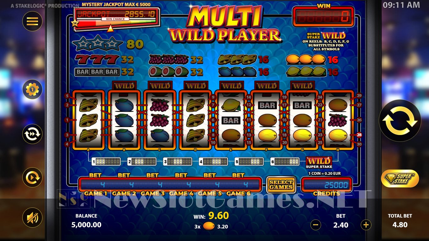 Multi Wild Player Slot Slot Image in Demo - pic. 4
